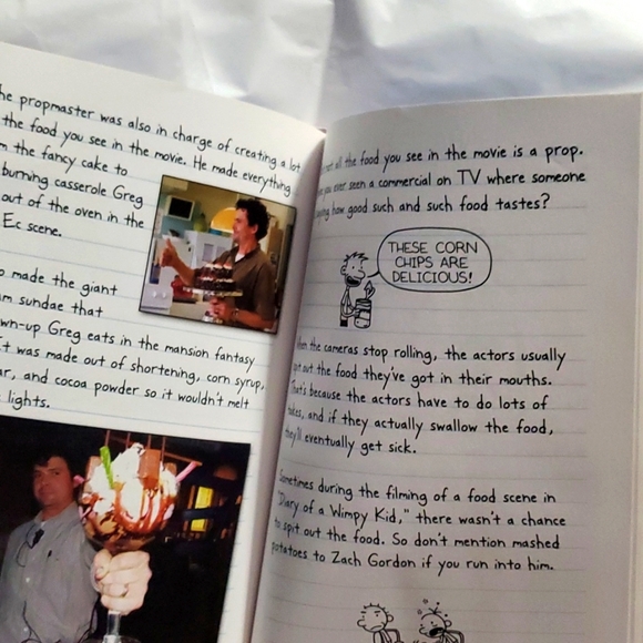 :Mix Lot Of 2 Jeff Kinney diary of a wimpy kid & 1 Lincoln peirce big nate books - Picture 12 of 13